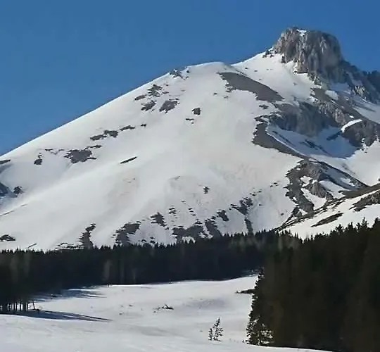 בית נופש Ammoglja